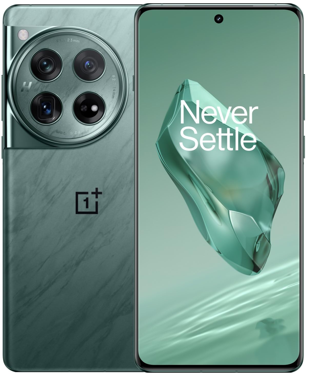 OnePlus 12 5G-Flowy Emerald