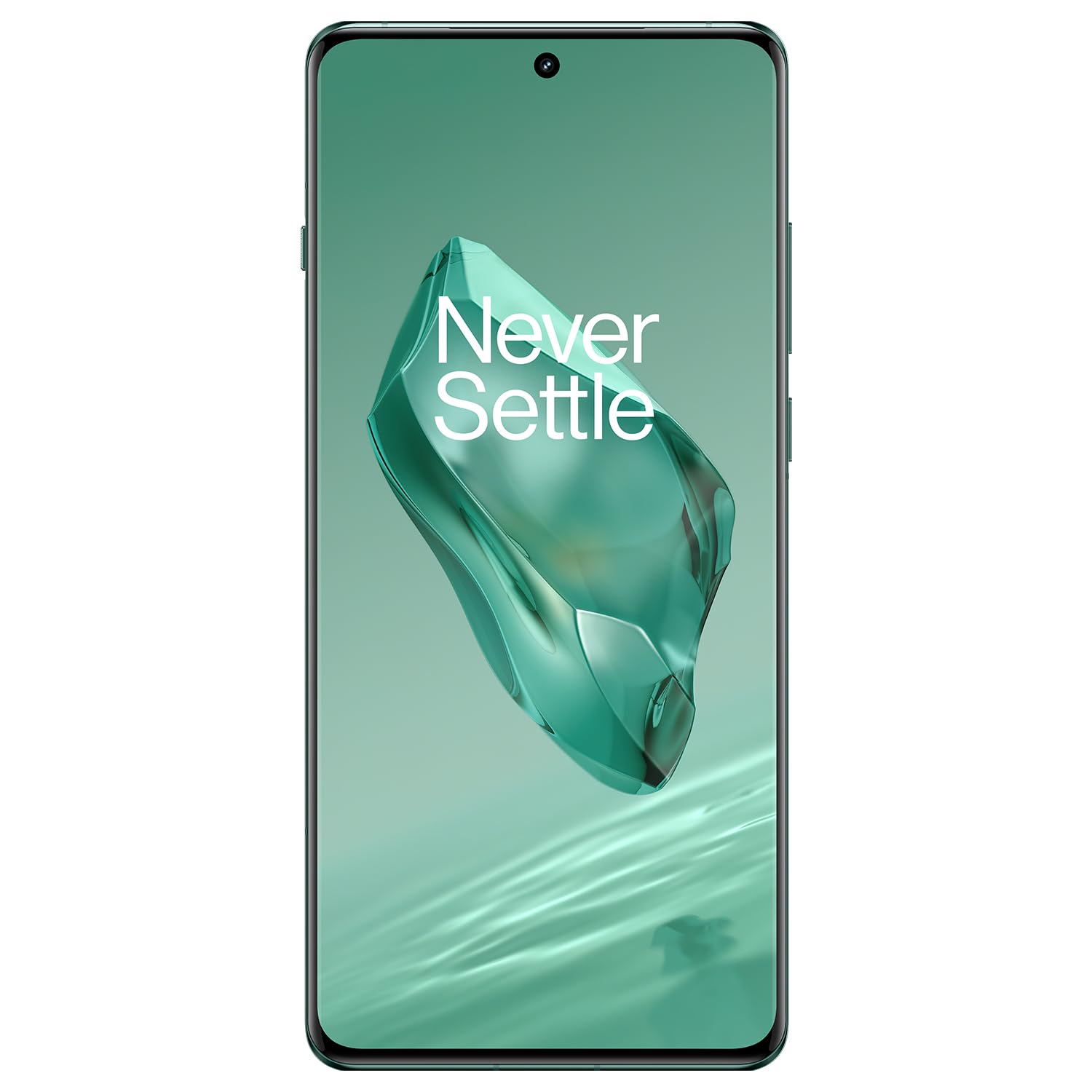 OnePlus 12 5G-Flowy Emerald